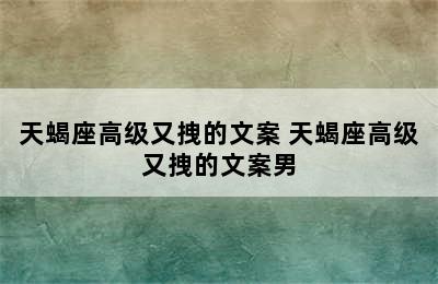 天蝎座高级又拽的文案 天蝎座高级又拽的文案男